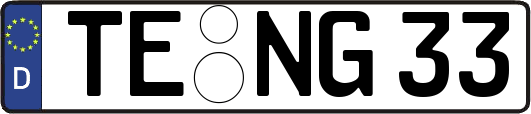TE-NG33