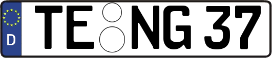 TE-NG37
