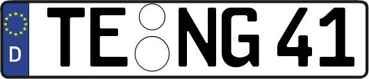 TE-NG41