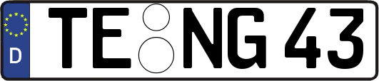 TE-NG43
