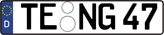 TE-NG47