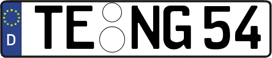TE-NG54