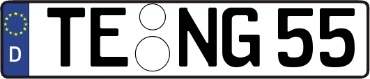 TE-NG55