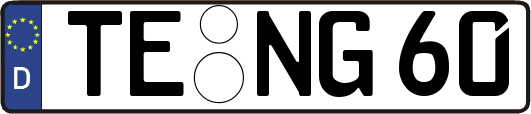 TE-NG60