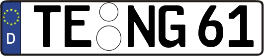 TE-NG61