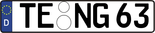 TE-NG63
