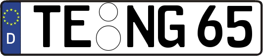 TE-NG65