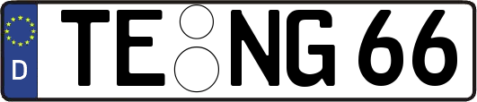 TE-NG66