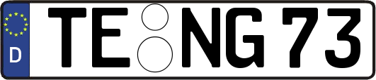 TE-NG73