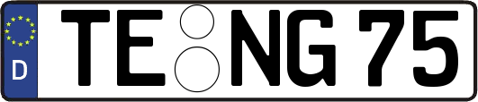 TE-NG75