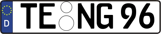 TE-NG96