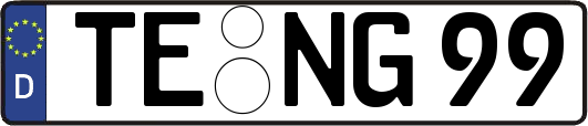 TE-NG99
