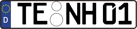 TE-NH01