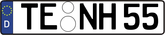 TE-NH55