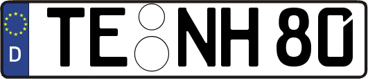 TE-NH80