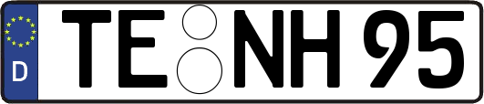 TE-NH95