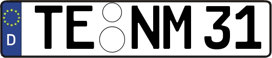 TE-NM31