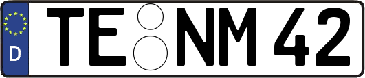 TE-NM42