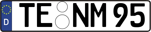 TE-NM95