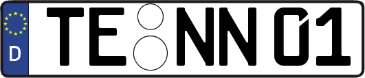 TE-NN01