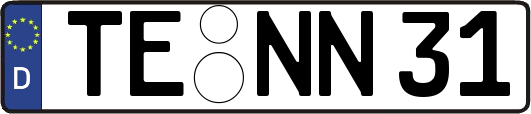 TE-NN31