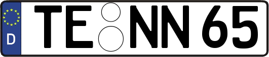 TE-NN65