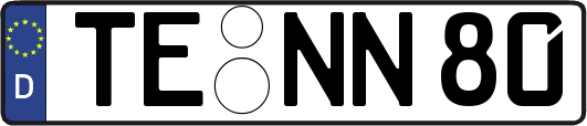 TE-NN80
