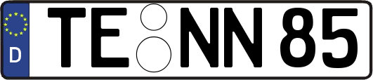 TE-NN85