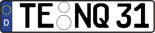 TE-NQ31