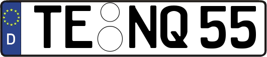 TE-NQ55