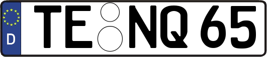 TE-NQ65