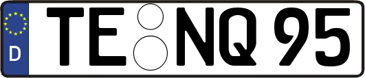 TE-NQ95
