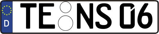 TE-NS06