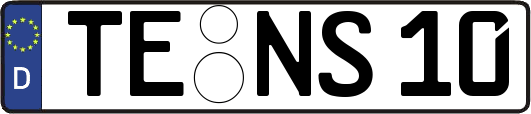TE-NS10