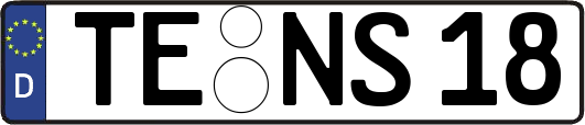 TE-NS18