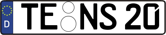 TE-NS20