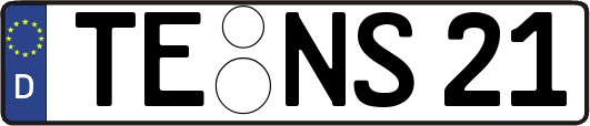 TE-NS21