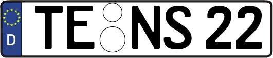 TE-NS22