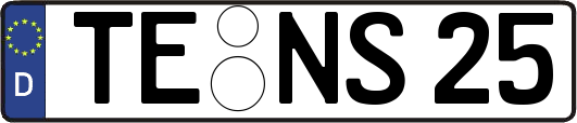 TE-NS25