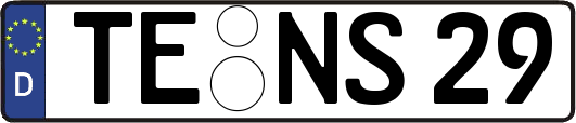 TE-NS29