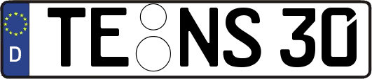 TE-NS30
