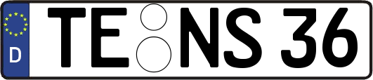 TE-NS36