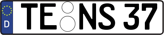 TE-NS37