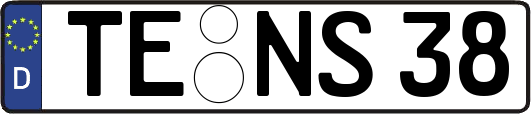 TE-NS38