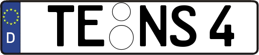 TE-NS4