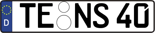 TE-NS40