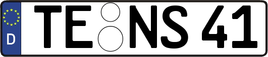 TE-NS41