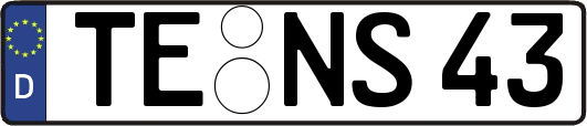 TE-NS43