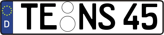 TE-NS45