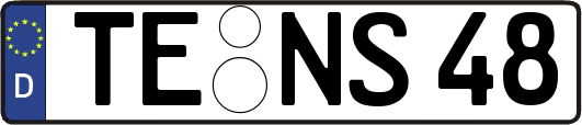 TE-NS48